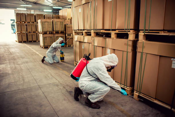 Professional Pest Control in Annetta, TX