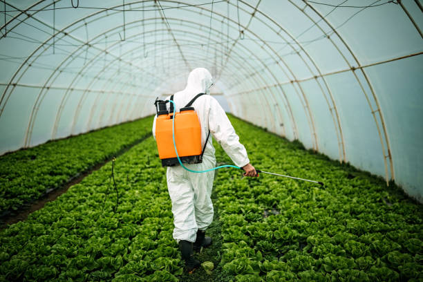 Best Best Pest Control Near Me  in Annetta, TX