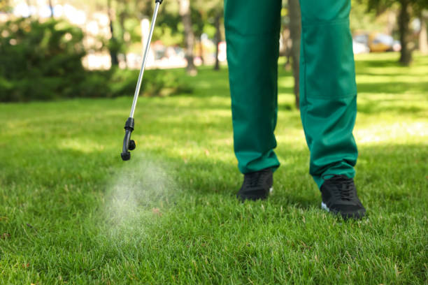 Best Pest Removal Services  in Annetta, TX