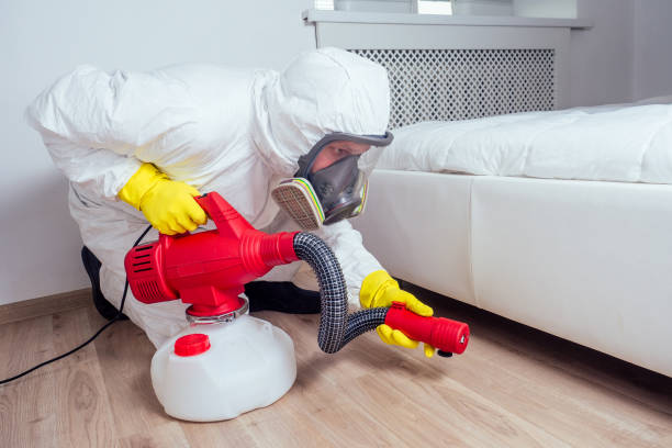 Best Affordable Pest Control Services  in Annetta, TX