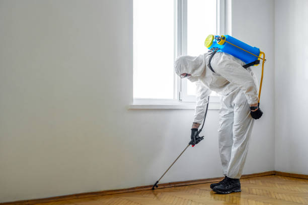 Best Emergency Pest Control  in Annetta, TX