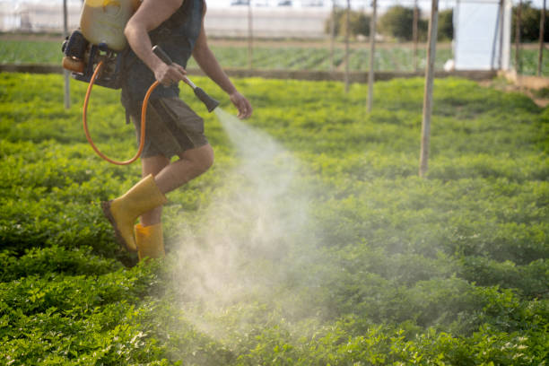 Best Pest Prevention Services  in Annetta, TX