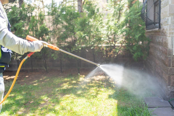 Best Pest Control Near Me in Annetta, TX